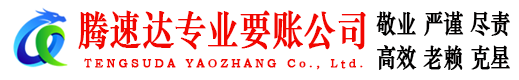 龙子湖腾速达清债公司